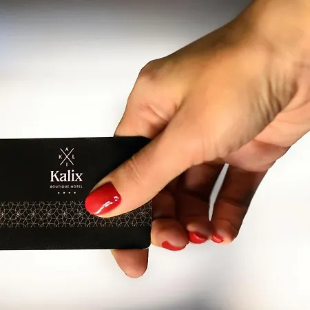 Hotel Kalix Boutique 4*